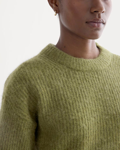 The Cocoon Crew in Alpaca | Moss